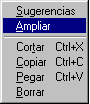 amplidireccionmenu.gif (922 bytes)